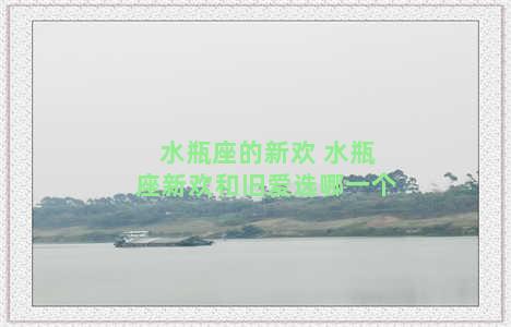 水瓶座的新欢 水瓶座新欢和旧爱选哪一个